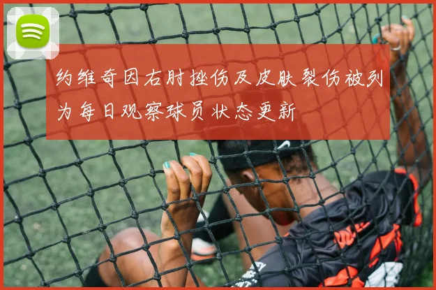 约维奇因右肘挫伤及皮肤裂伤被列为每日观察球员状态更新