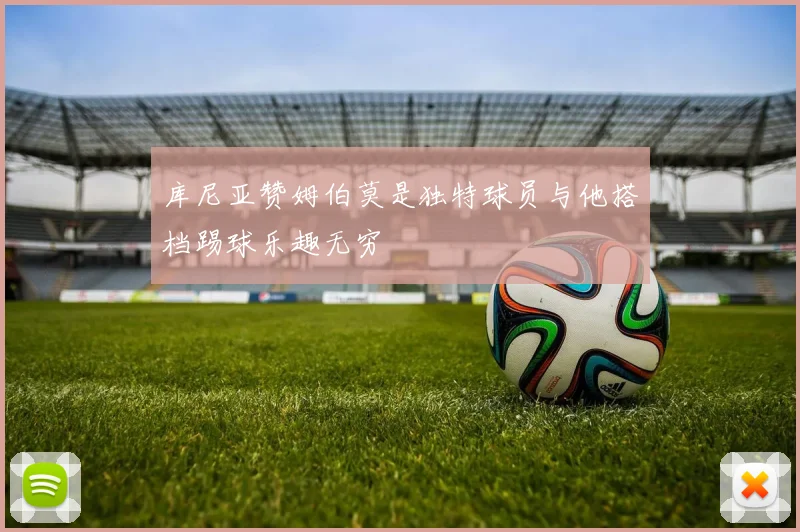 库尼亚赞姆伯莫是独特球员与他搭档踢球乐趣无穷